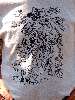 Clic here to see the picture (2003HUNT052.jpg)