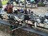 Clic here to see the picture (2003HUNT054.jpg)