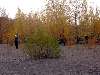 Clic here to see the picture (2003HUNT140.jpg)