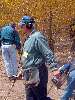 Clic here to see the picture (2003HUNT149.jpg)