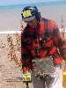 Clic here to see the picture (2003HUNT154.jpg)