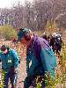 Clic here to see the picture (2003HUNT179.jpg)