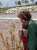 Clic here to see the picture (2003HUNT192.jpg)