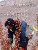 Clic here to see the picture (2003HUNT202.jpg)