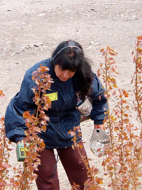 2003HUNT203