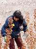 Clic here to see the picture (2003HUNT203.jpg)