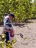 Clic here to see the picture (Len114.jpg)