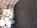 BeachHunt083